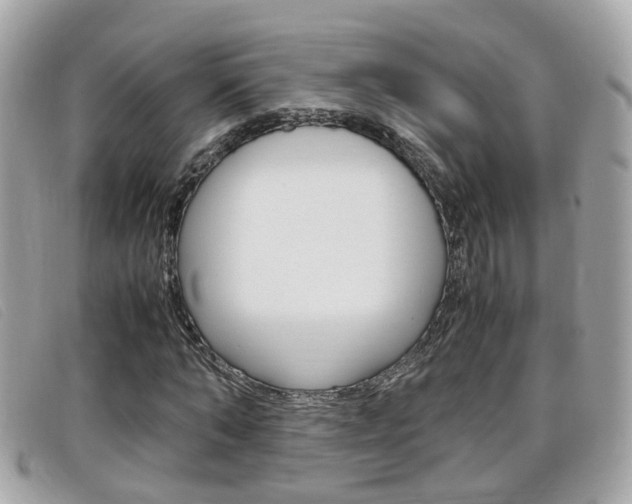 X0000099310870200805020730