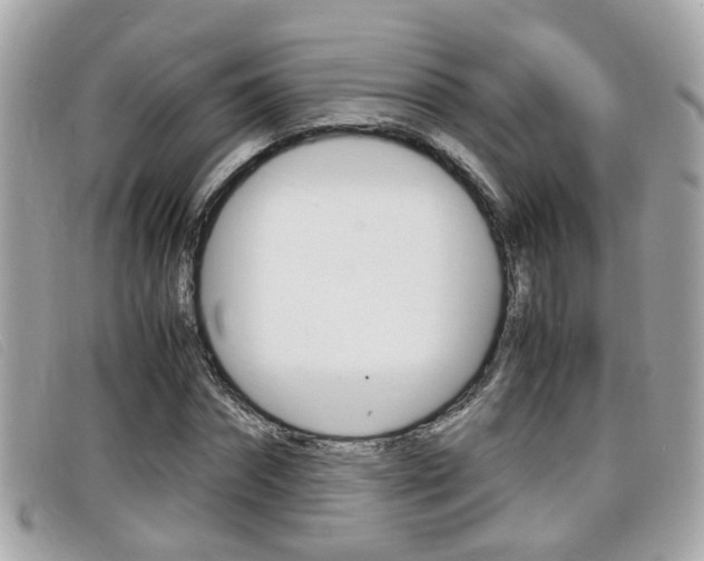 X0000099310874200805020730
