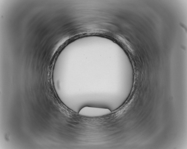 X0000099310875200805020730