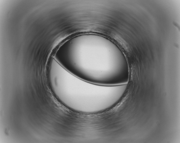 X0000099310876200805020730