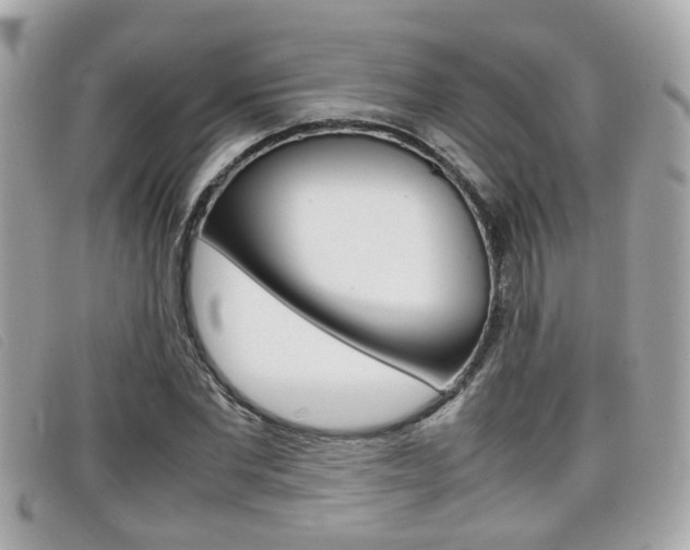 X0000099310877200805020730