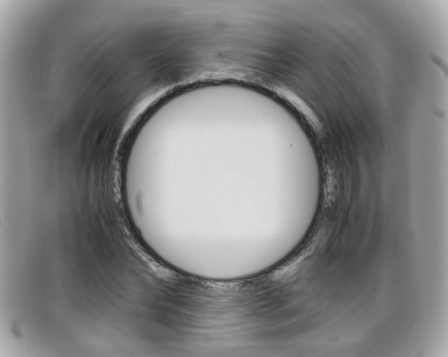 X0000099310878200805020730