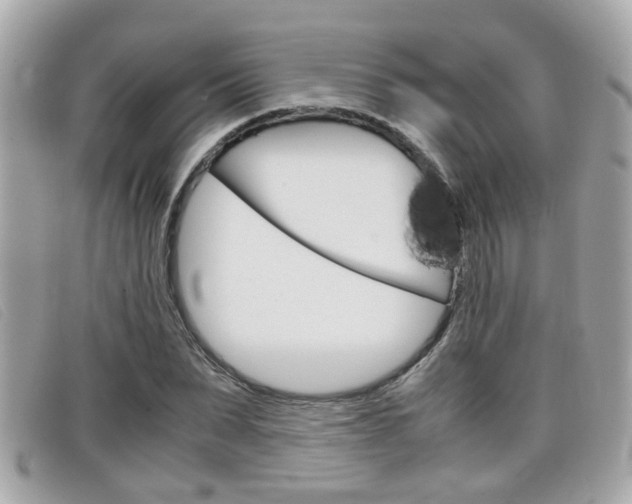 X0000099310879200805020730