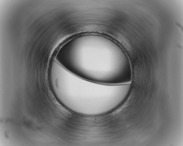 X0000099310880200805020730