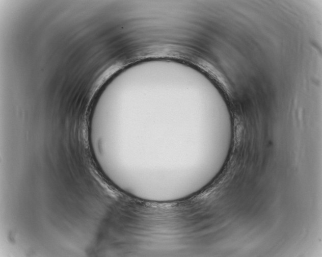 X0000099310882200805020730