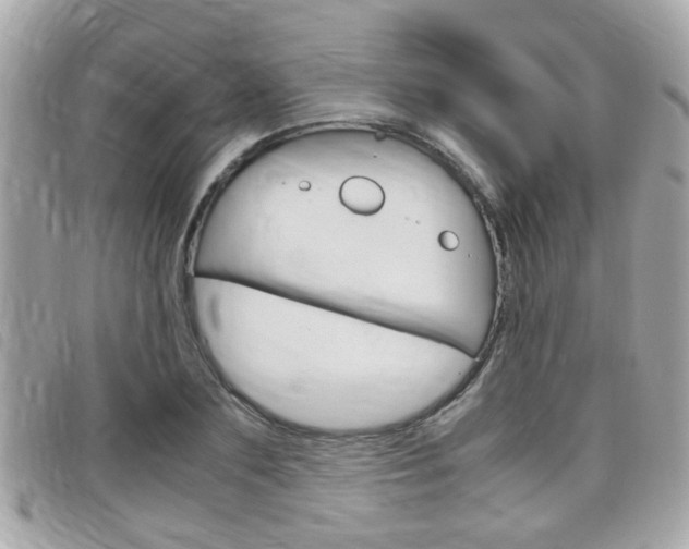 X0000099310883200805020730