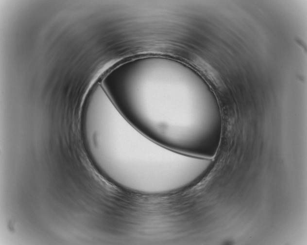X0000099310884200805020730