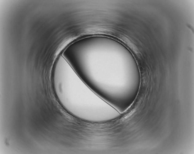 X0000099310885200805020730