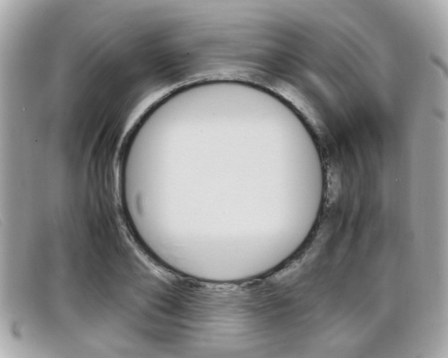 X0000099310886200805020730
