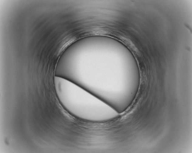 X0000099310889200805020729