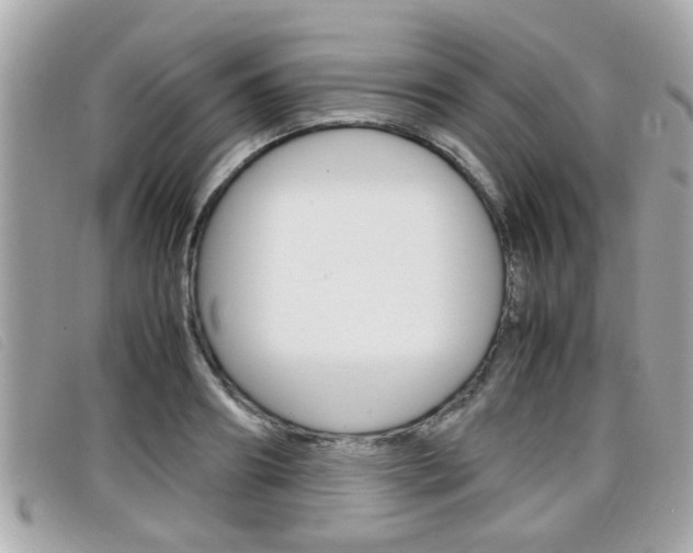 X0000099310890200805020729
