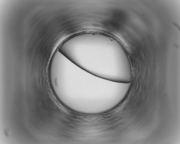 X0000099310891200805020729