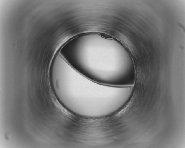 X0000099310892200805020729