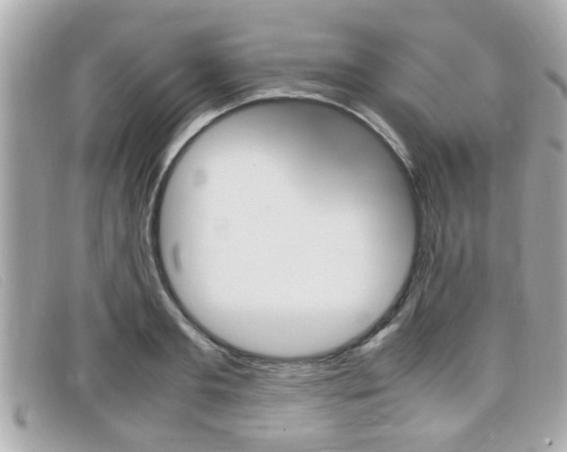 X0000099310893200805020729