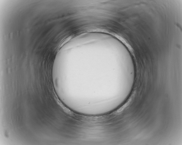 X0000099310897200805020729