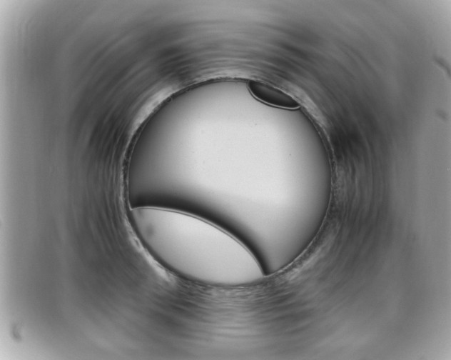 X0000099310898200805020729