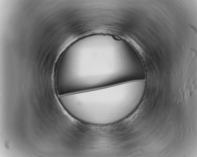 X0000099310902200805020729