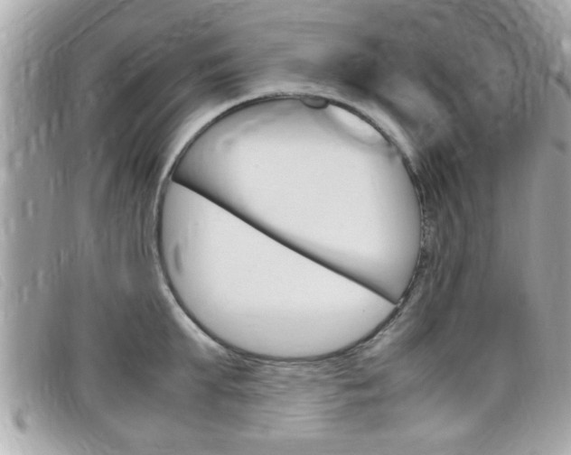 X0000099310903200805020729