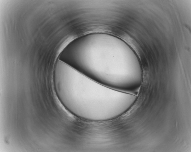 X0000099310906200805020729