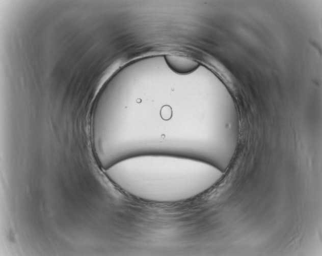 X0000099310907200805020729