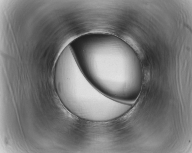 X0000099310908200805020729