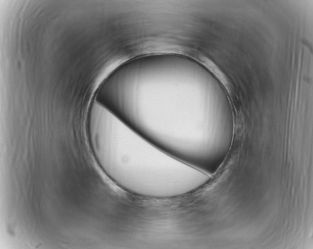 X0000099310909200805020729