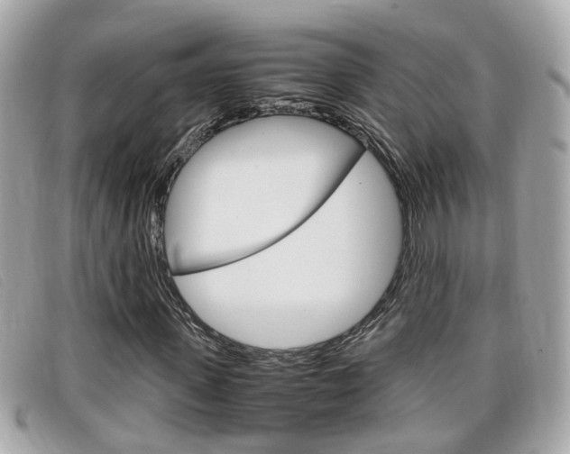 X0000099310915200805020729