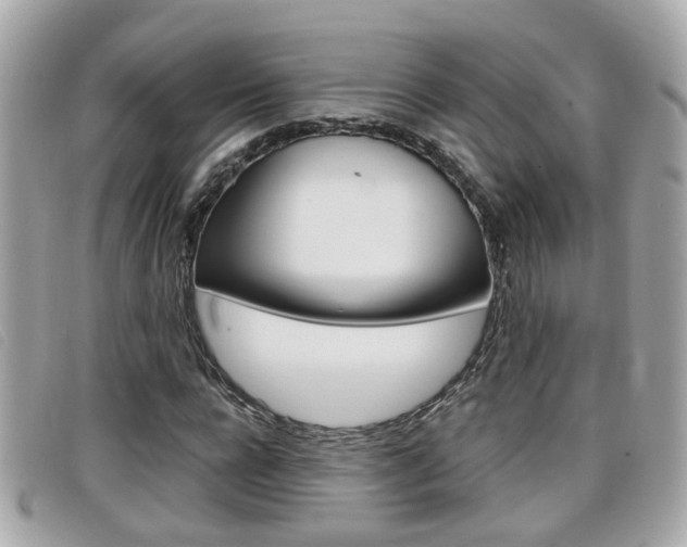 X0000099310920200805020729