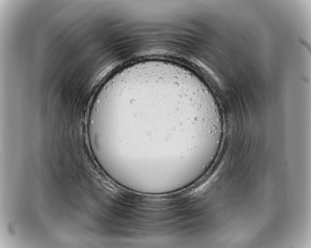 X0000099310921200805020729