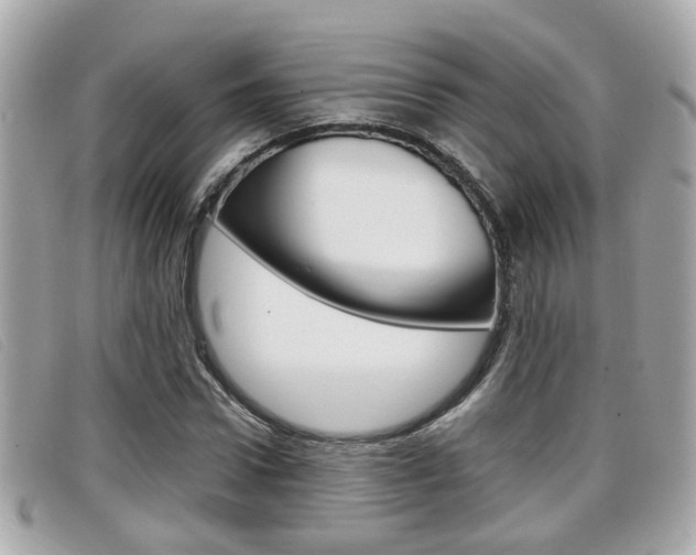 X0000099310922200805020729