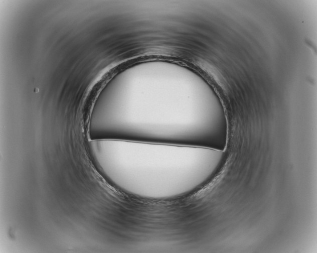 X0000099310923200805020729