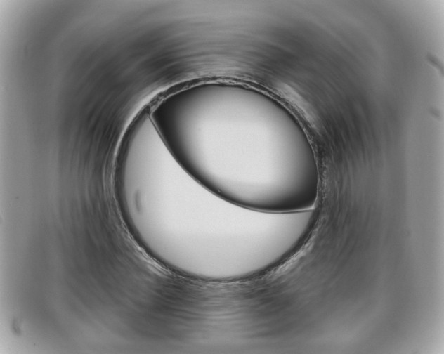 X0000099310924200805020729