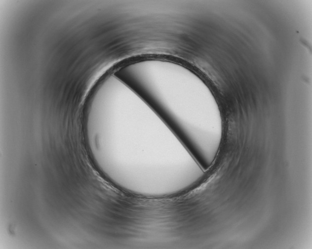 X0000099310926200805020729