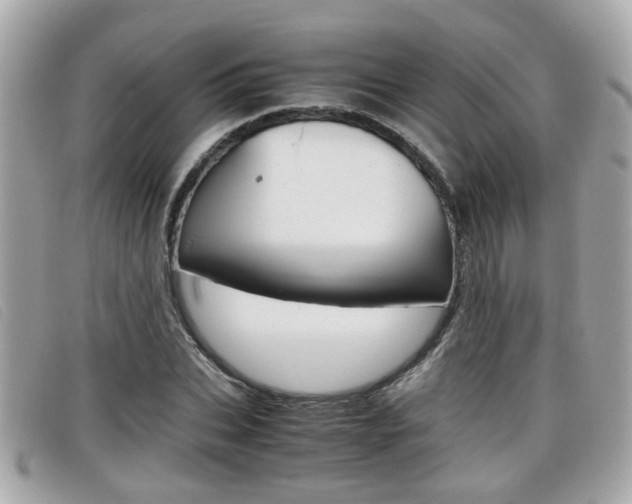 X0000099310927200805020729