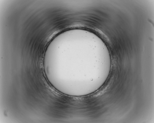 X0000099310929200805020729