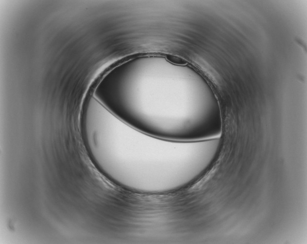 X0000099310932200805020729