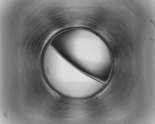 X0000099310934200805020729