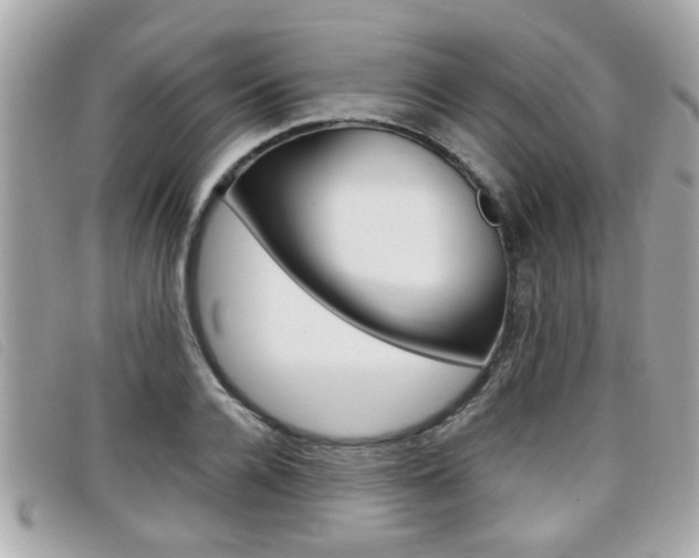X0000099310936200805020729