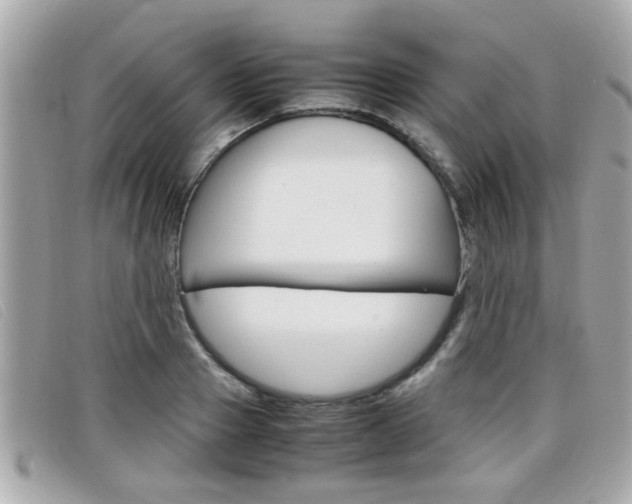 X0000099310937200805020729