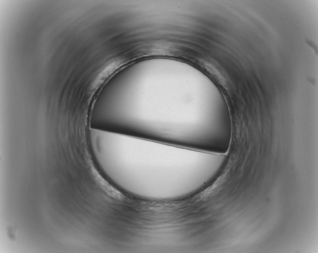 X0000099310938200805020729
