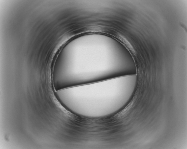 X0000099310939200805020729