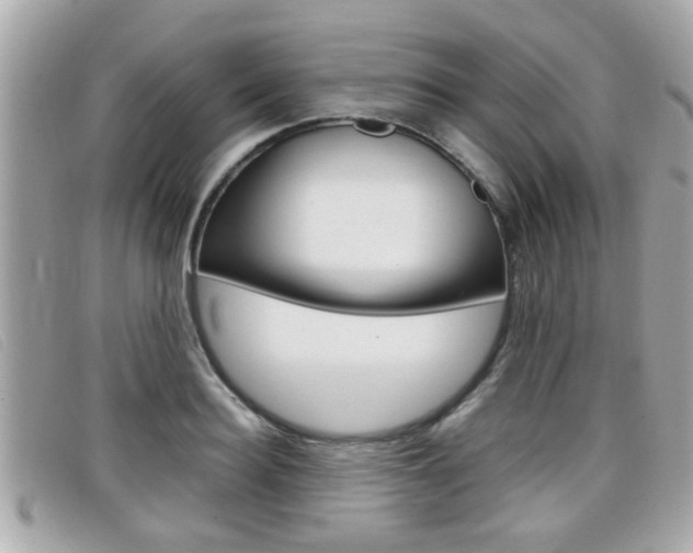 X0000099310940200805020729