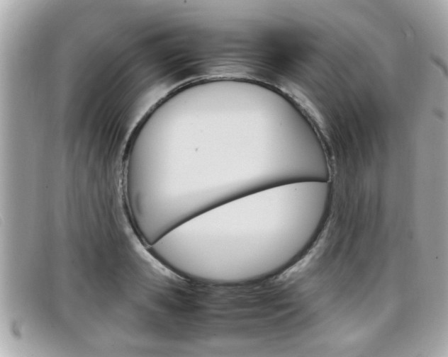 X0000099310941200805020729
