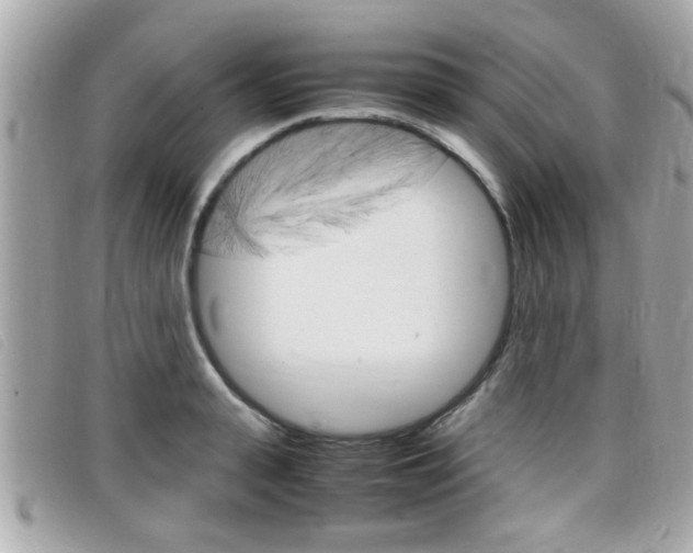 X0000099310943200805020729