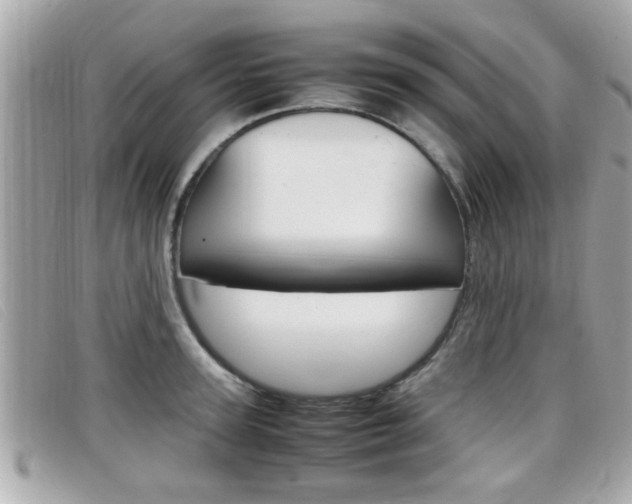X0000099310947200805020729