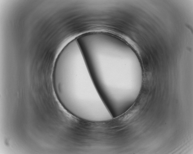 X0000099310951200805020729