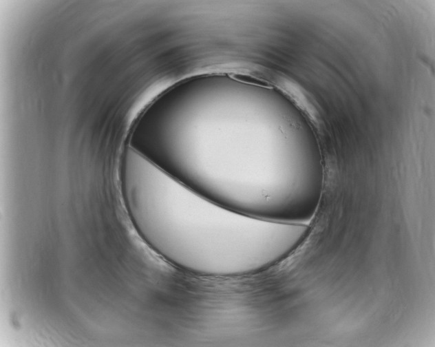 X0000099310952200805020729