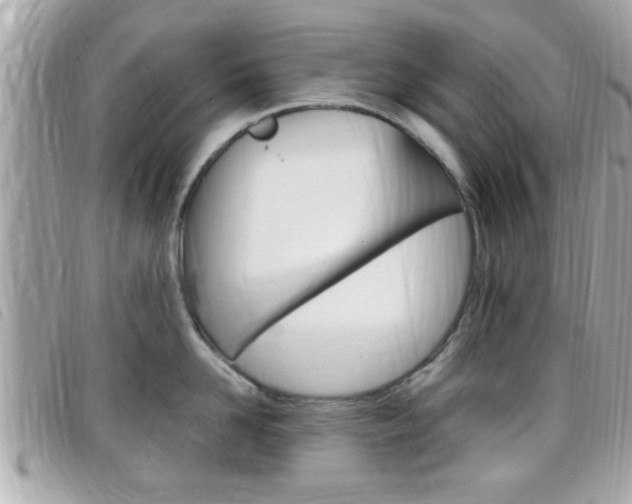 X0000099310958200805020729