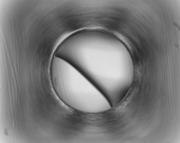 X0000099310959200805020729