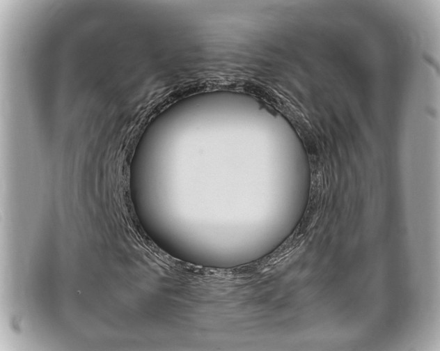 X0000099310961200805020728